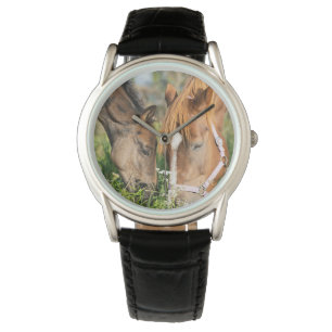 Montre Animaux de bébés cutest   Colt à cheval