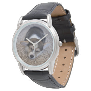 Montre Animaux de bébés cutest   Corgi Chiot sur Shag Rug