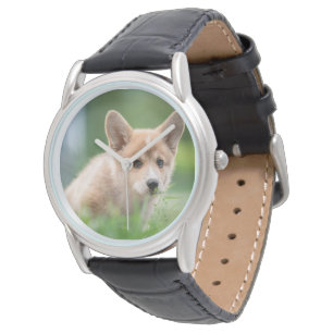 Montre Animaux de bébés cutest Corgi Puppy dans le tria