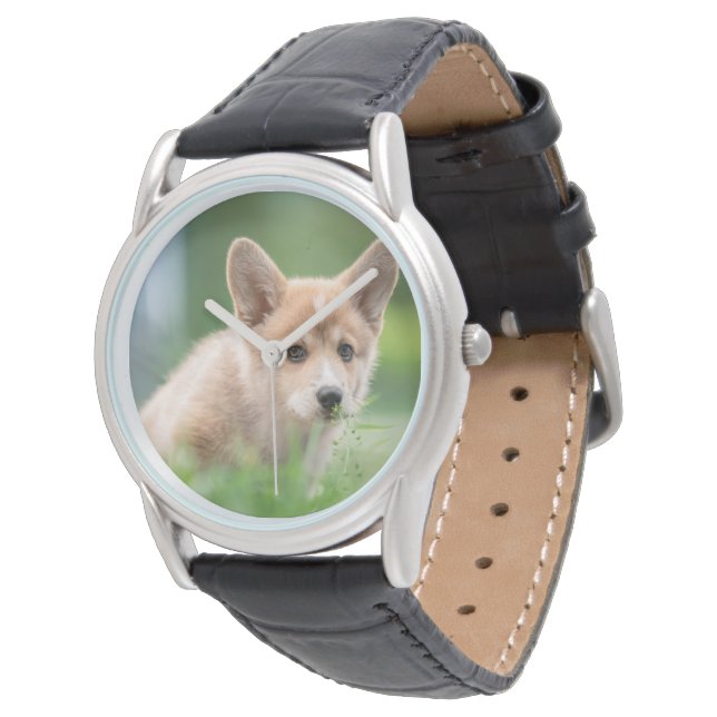 Montre Animaux de bébés cutest | Corgi Puppy dans le tria (Incliné)
