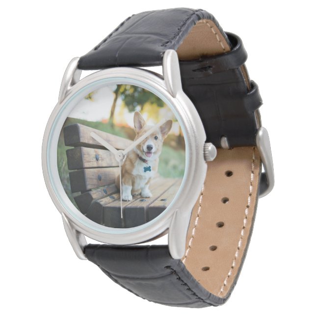 Montre Animaux de bébés cutest | Corgi Puppy sur un banc  (Incliné)