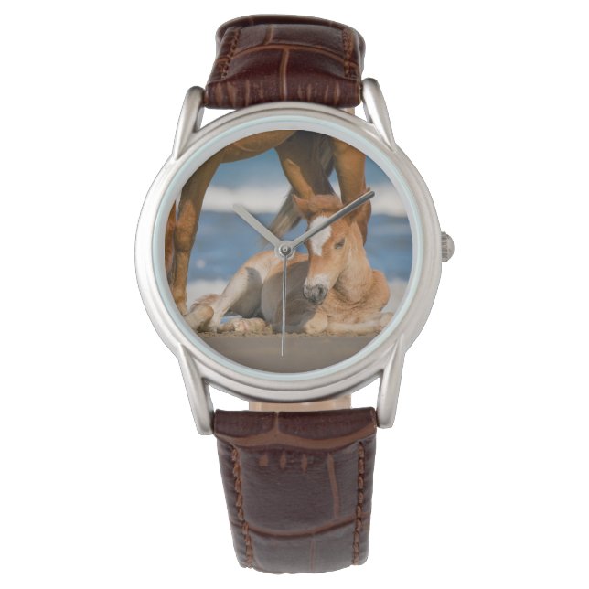 Montre Animaux de bébés cutest | Corolla nouvellement née (devant)
