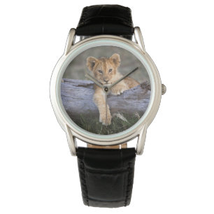 Montre Animaux de bébés cutest   Cute Lion Cub
