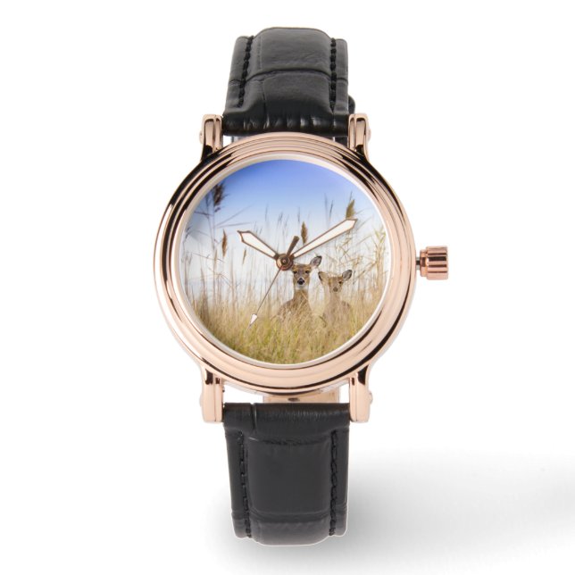 Montre Animaux de bébés cutest | Deux jeunes cerfs à queu (Recto)