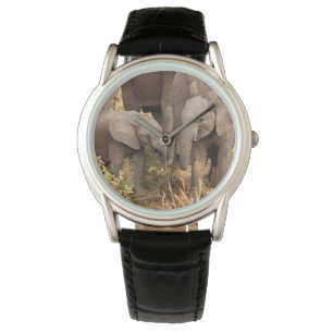 Montre Animaux de bébés cutest   Deux jeunes éléphants