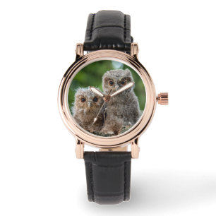 Montre Animaux de bébés cutest   Deux jeunes hiboux