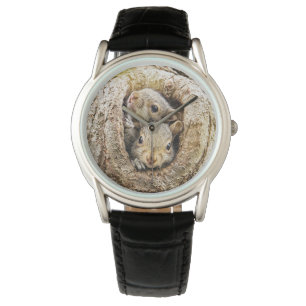 Montre Animaux de bébés cutest Écureuils curieux
