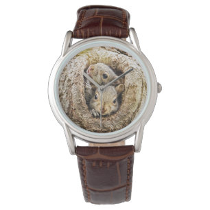 Montre Animaux de bébés cutest Écureuils curieux
