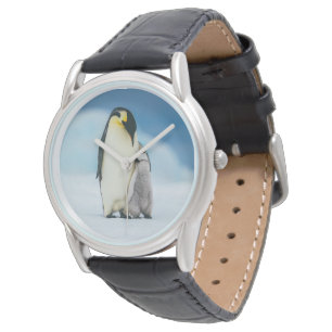 Montre Animaux de bébés cutest Empereur Penguin Chick