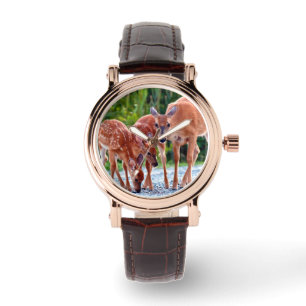 Montre Animaux de bébés cutest Fawn with Babies