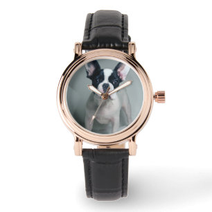 Montre Animaux de bébés cutest   French Bulldog Puppy