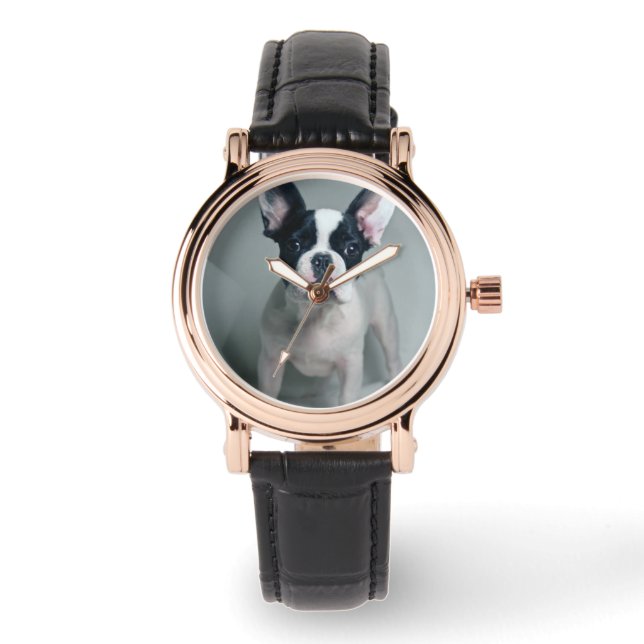 Montre Animaux de bébés cutest | French Bulldog Puppy (Recto)