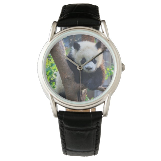 Montre Animaux de bébés cutest | Géant Panda Cub (devant)