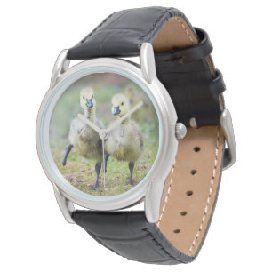 Montre Animaux de bébés cutest Goélands d'oies canadien