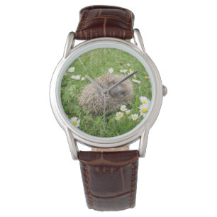 Montre Animaux de bébés cutest   Hérisson espagnol
