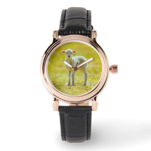 Montre Animaux de bébés cutest Jeune mouton