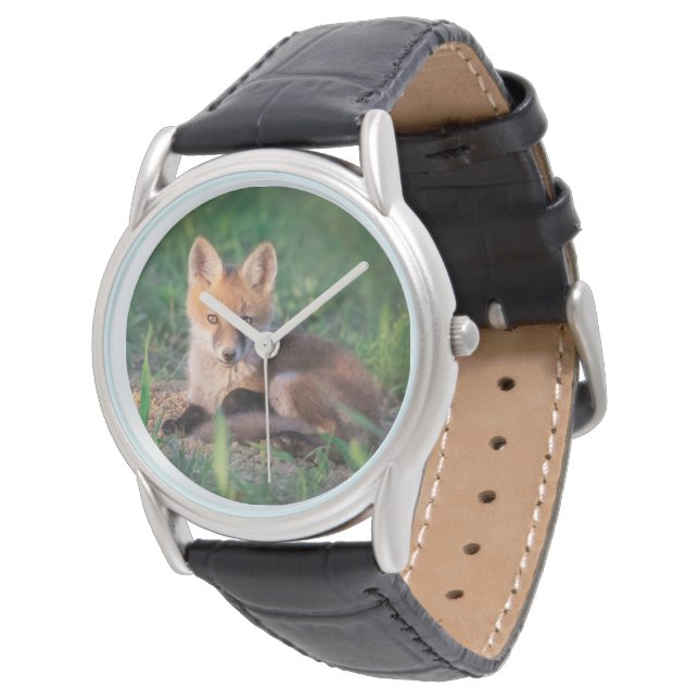 Montre Animaux de bébés cutest | Kit Red Fox Relaxant (Incliné)