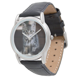 Montre Animaux de bébés cutest   Kitten sur Touches de pi
