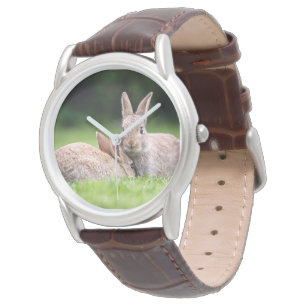 Montre Animaux de bébés cutest Lapins de lapin sauvage