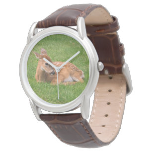 Montre Animaux de bébés cutest Little Fawn