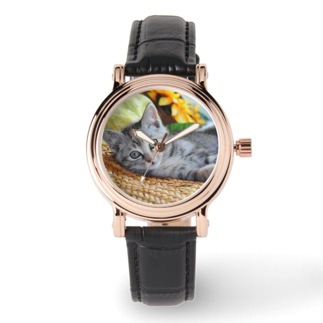 Montre Animaux de bébés cutest | Lounge Kitten (Recto)