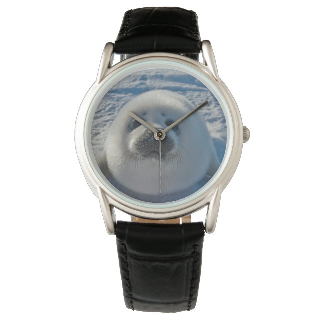 Montre Animaux de bébés cutest | Phoque bébé (devant)