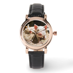 Montre Animaux de bébés cutest Piglet bébé mignon