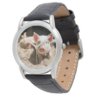 Montre Animaux de bébés cutest Piglet bébé mignon