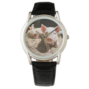 Montre Animaux de bébés cutest   Piglet bébé mignon