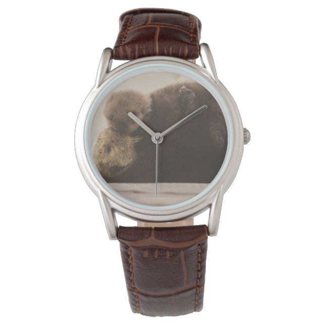 Montre Animaux de bébés cutest | Pompe Otter nouveau-né (devant)