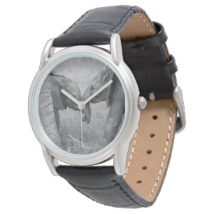 Montre Animaux de bébés cutest   Salutation des éléphants