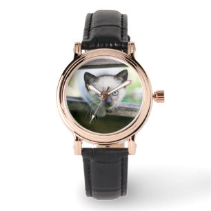 Montre Animaux de bébés cutest Siamese Kitten 2