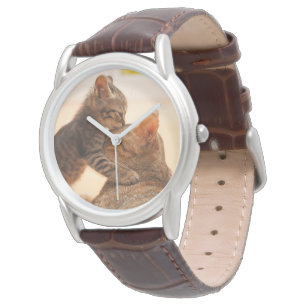 Montre Animaux de bébés cutest Tabby Kitten Kiss