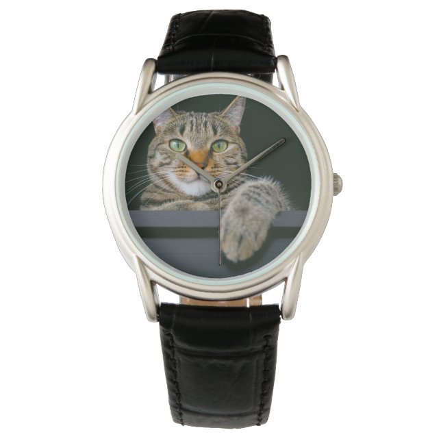 Montre Animaux de bébés cutest | Tête de chat gris Tabby (devant)