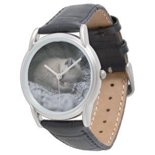 Montre Animaux de bébés cutest   Tiny Kitten Dormir