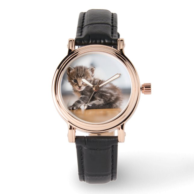Montre Animaux de bébés cutest | Tiny Tabby Kitten (Recto)