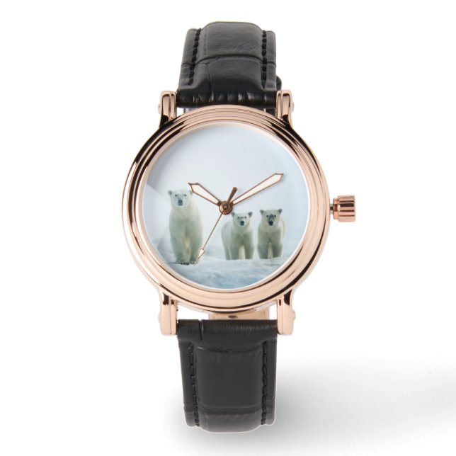 Montre Animaux de bébés cutest | Trois jeunes ours polair (Recto)