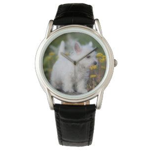 Montre Animaux de bébés cutest   West Highland White Terr
