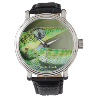 Montre Anole Watch : Anolis equestris