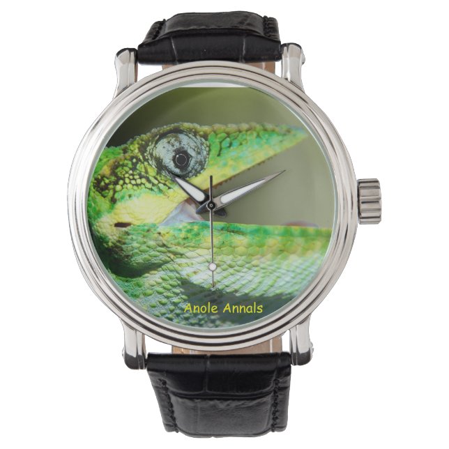 Montre Anole Watch : Anolis equestris (devant)