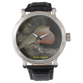 Montre Anole Wristwatch : Anolis marcanoi