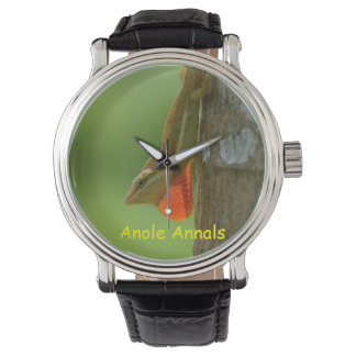 Montre Anolis pulchellus
