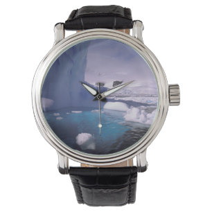Montre Antarctique. Glaces antarctiques 2