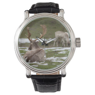 Montre Antler