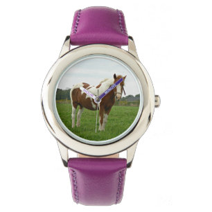 Montre Aquebogue a peint le cheval