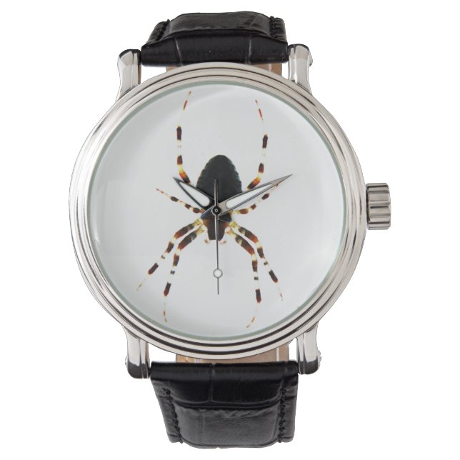 Montre Araignée (devant)