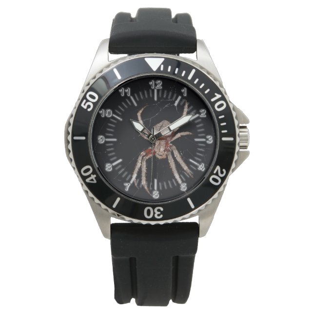 Montre Araignée (devant)