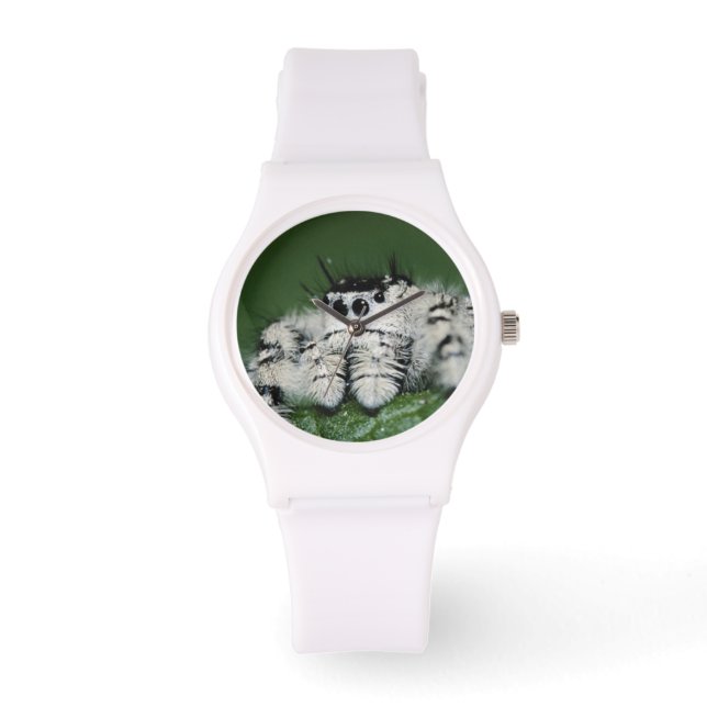 Montre Araignée sauteuse Metaphid (Recto)