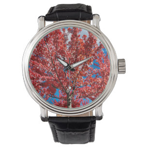 Montre Arbre à feuilles rouges à l'automne