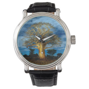 Montre Arbre Baobab (Adansonia) illuminé par la lune